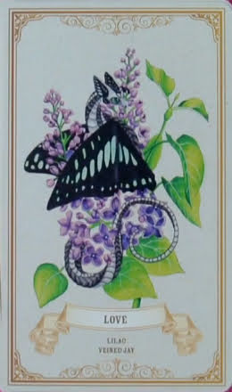 Enchanted Blossoms Empowerment Oracle